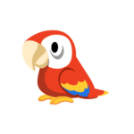 A Parrot representing all pet birds