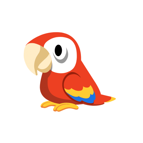 Pet Sitters provide Pet Sitting Dubai, Pet Boarding Dubai, Pet Sitting Abu Dhabi, Pet Boarding Abu Dhabi Services for Birds