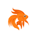 A Goldfish representing all type of pet fishes.