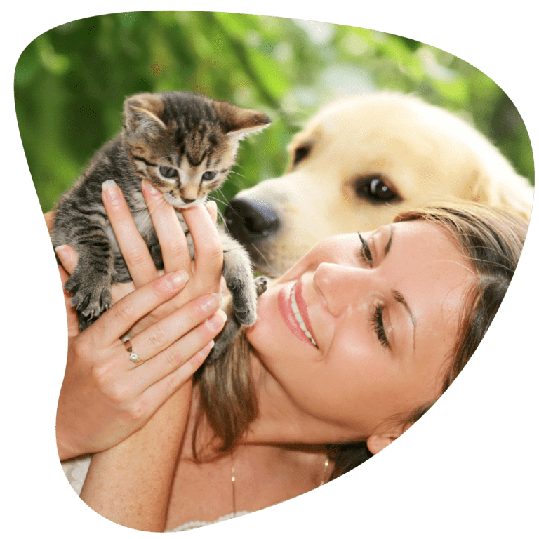 Things to consider before choosing a pet sitter
