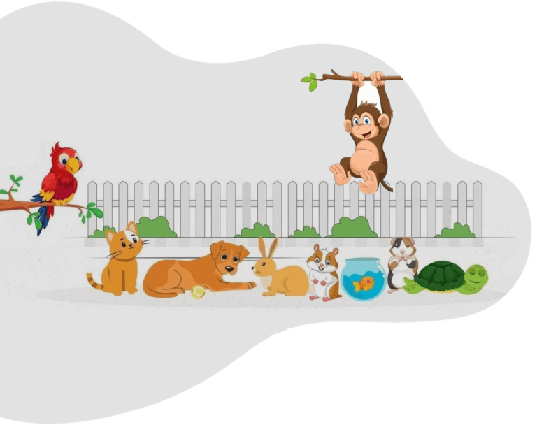 Pet Sitting Dubai Services Personalized Care for Your Pet