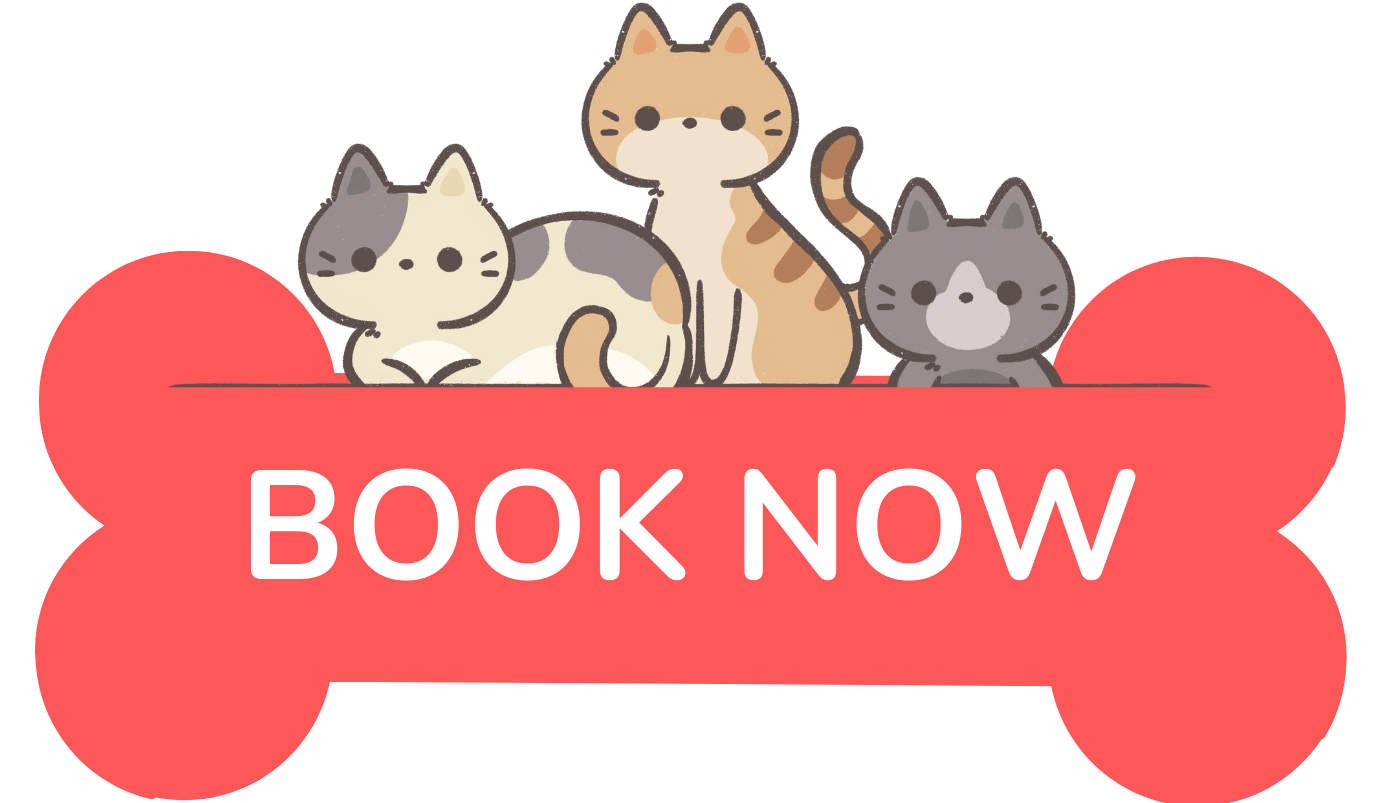Book Now to Avail Cat Boarding Services