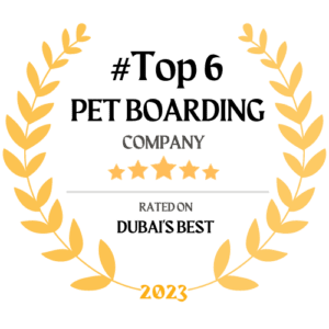 Pawland is rated in Top 6 Pet Boarding Dubai by Dubai's Best Magazine for services including cat boarding dubai