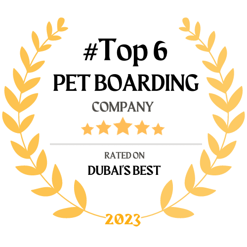 Pet Sitting Dubai Services Personalized Care for Your Pet