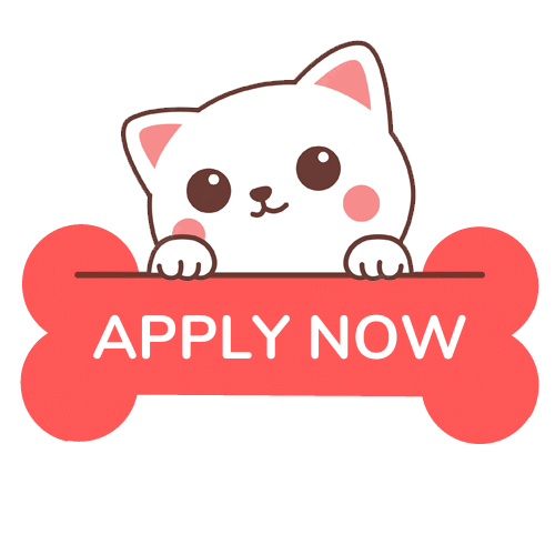 Cute cat peeking over a bone with a apply now button for cat sitters