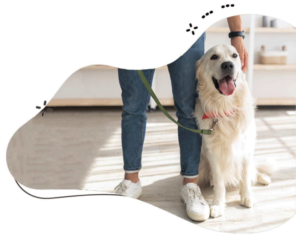 1-dog-walking-services-by-hand-picked-verified-dog-walkers