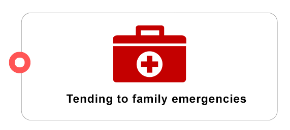 A dark red emergency first-aid kit indicating that Pawland provides dog sitting services when you are out on family emergencies