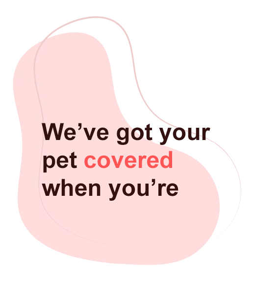 We have got your pet covered when you are in any kind situation like all the possible situations.