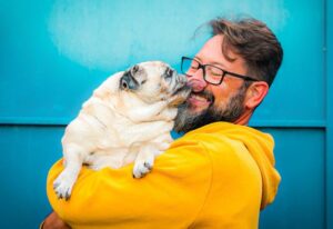 Adult man wearing yellow hoodie holding his happy pug during Pawland’s dog boarding
