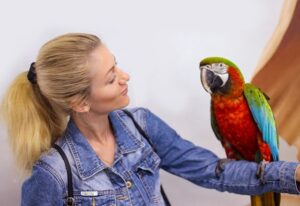 Bird parent wearing jean top with macaw in hand after availing pet sitting services