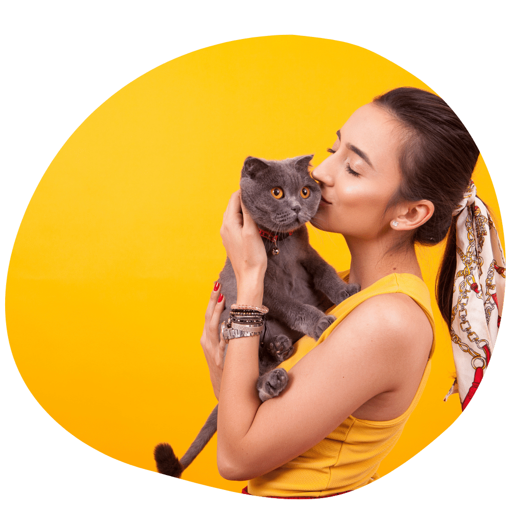 Cat owner kissing grey cat wearing yellow tank top after pet boarding services in Dubai from Pawland