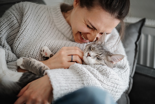 Cheerful pet sitter with a cute grey cat in her arms at home on the sofa