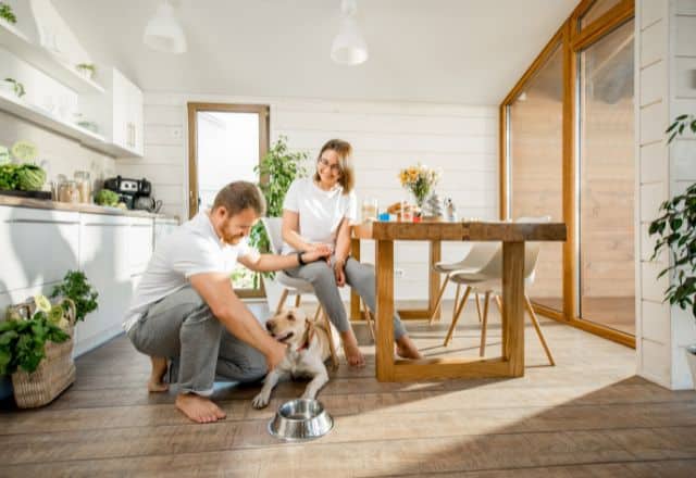 A couple interacts with their dog in home