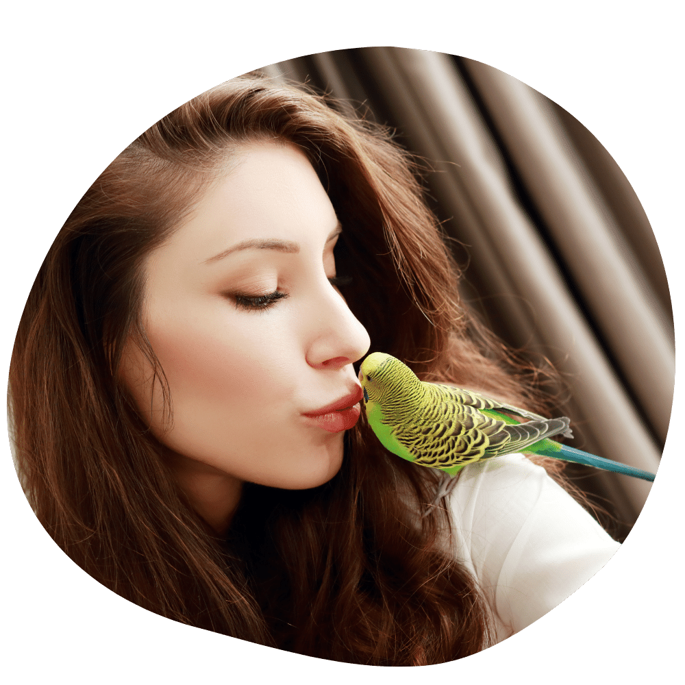 Parakeet owner kissing a parakeet in her hand after availing pet boarding services in Dubai from Pawland