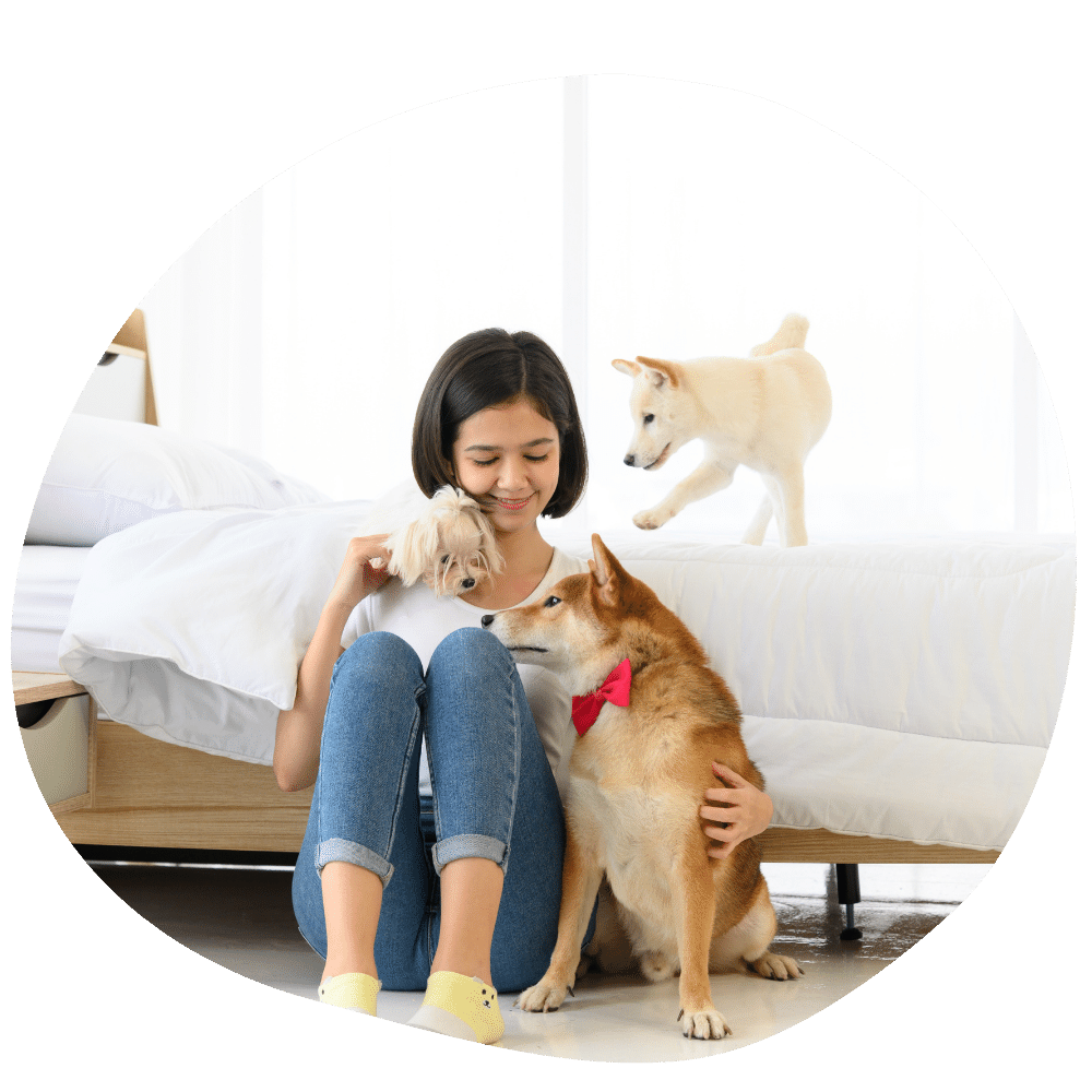 Woman wearing jeans and white tee playing with three dogs on bedroom floor after Pawland’s pet boarding services in Abu Dhabi