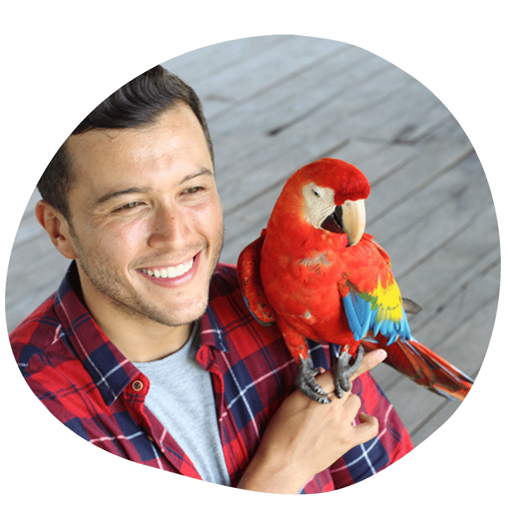 Happy macaw parent wearing plaid shirt and red macaw on hand after in-home bird boarding services