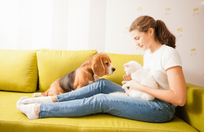 Happy pet sitter holding and comforting a dog and a cat (1)