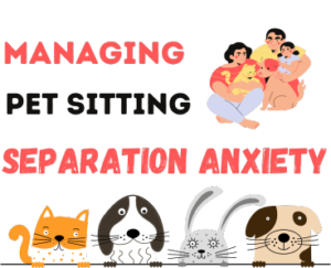 Managing Pet Sitting Separation Anxiety