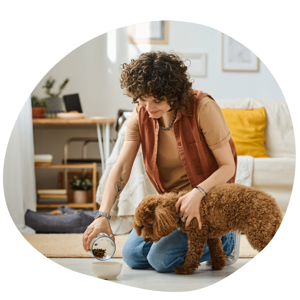 Pet parent pouring food into bowl for brown dog in the living room at home