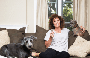 pet sitting services