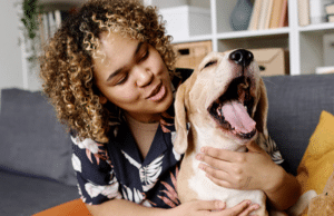 pet sitting services