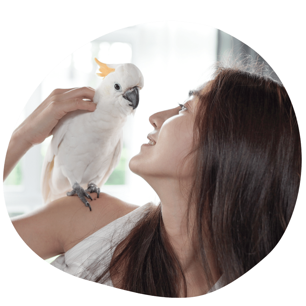 Young woman looking at her cockatoo parrot in the morning