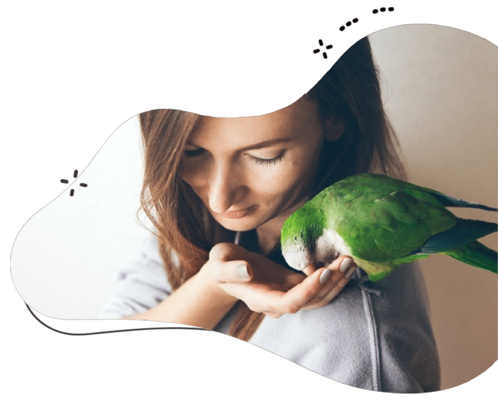 Safe & Chirpy Bird Boarding & Sitting Services at Best Place