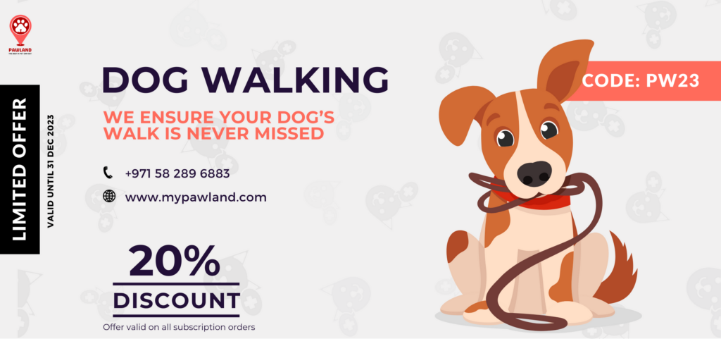 Pawland's Dog Walking Offer