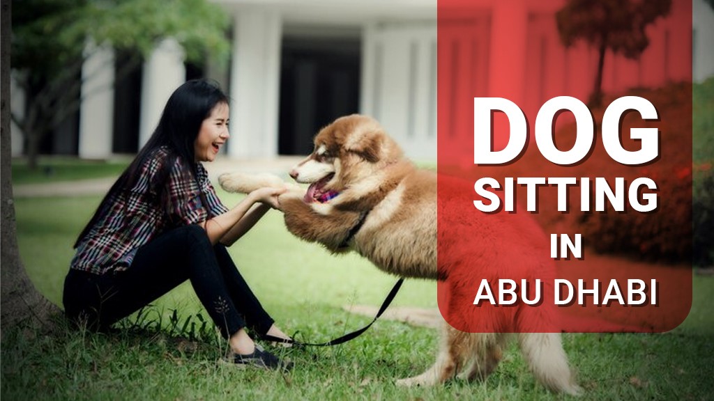 Dog Sitting in Abu Dhabi