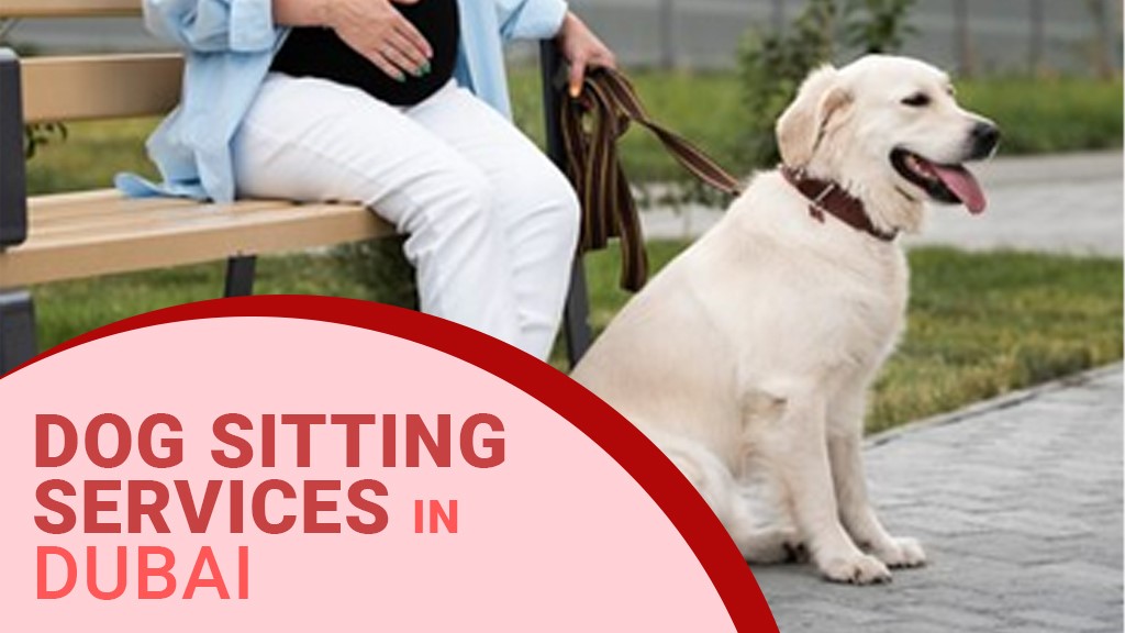 Dog sitting services in Dubai