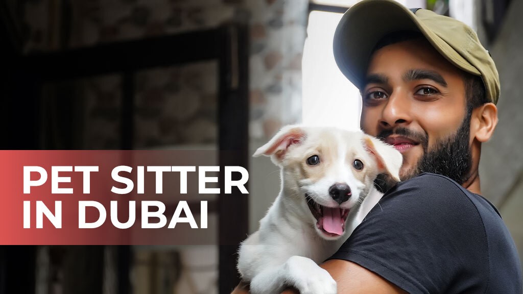 Pet Sitter in Dubai