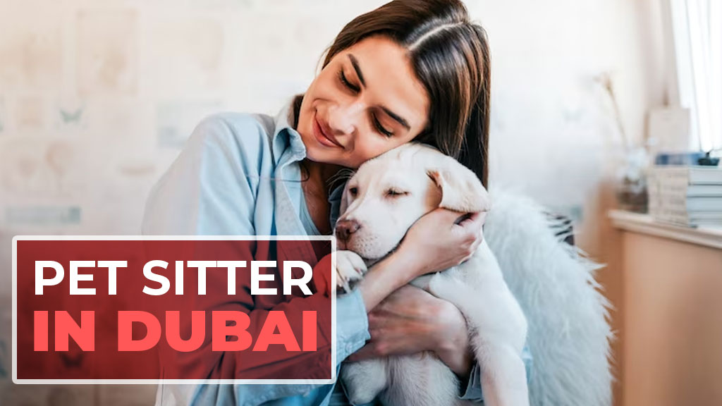 Pet Sitter in Dubai
