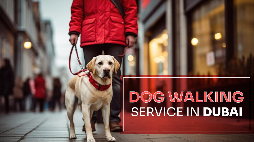 Dog walking service in Dubai