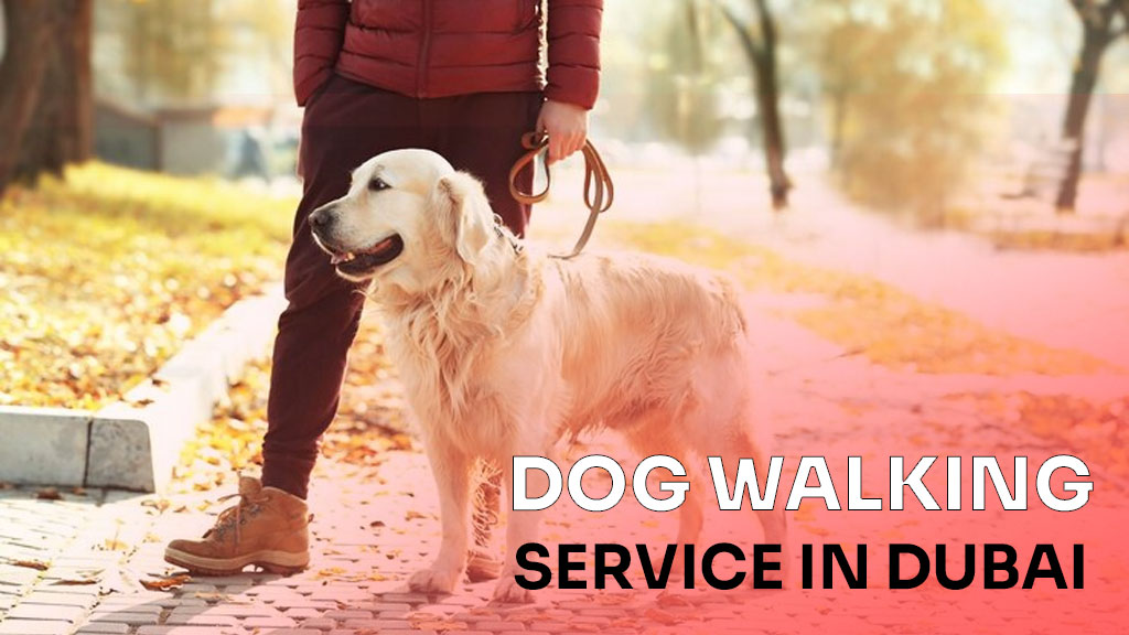 dog walking service in Dubai
