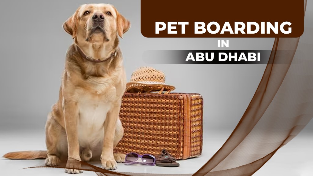 Pet Boarding in Abu Dhabi