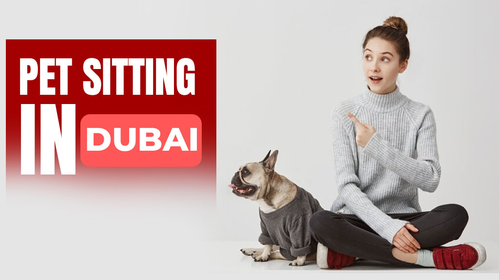 Pet Sitting in Dubai