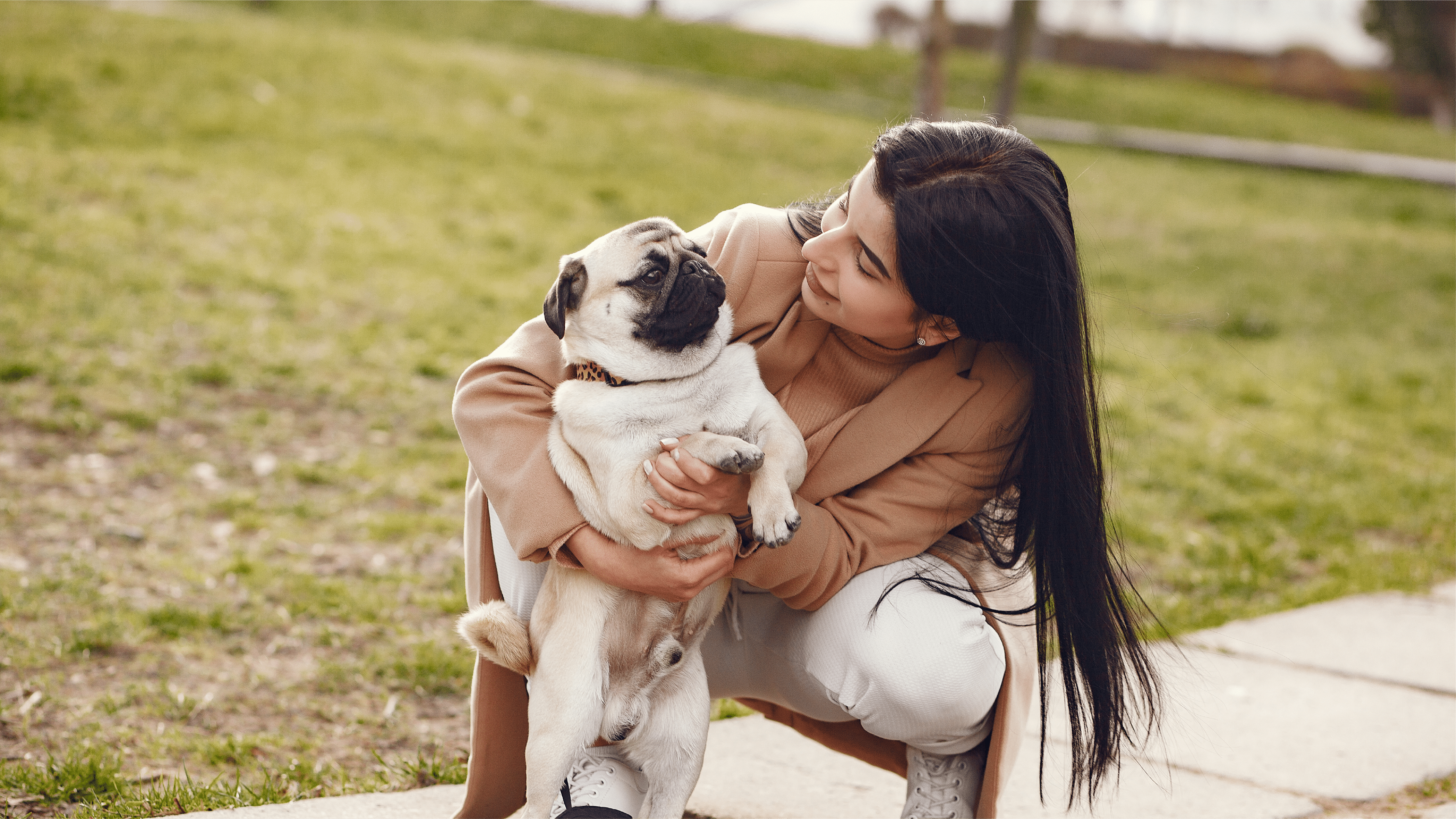 a pawland dog walker care a white dog a girl in the park