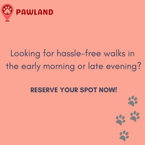 Hassel free dog walking service pawland