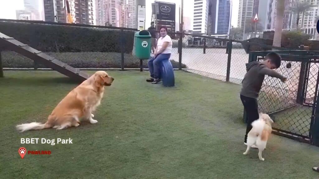BBET Dog Park