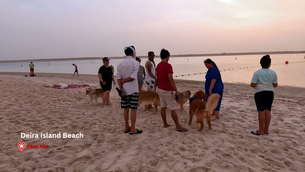 Deira Island Beach