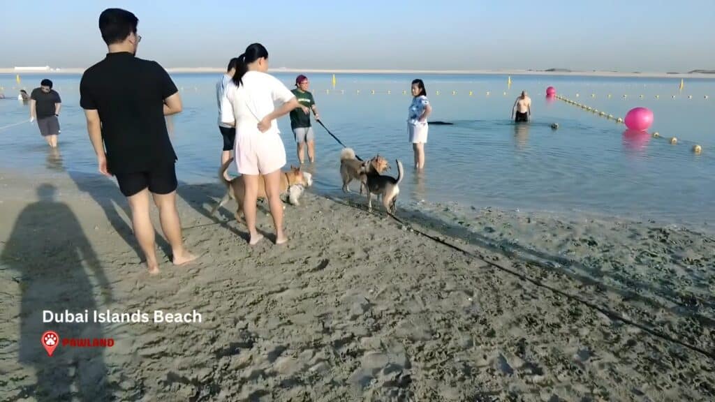Dubai Islands Beach 