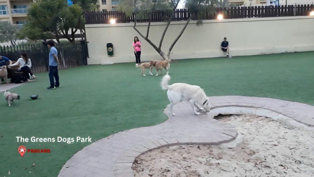The Greens Dogs Park
