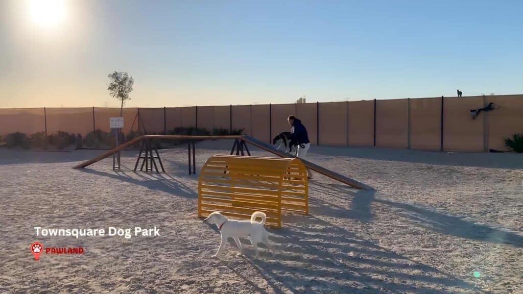 Townsquare Dog Park