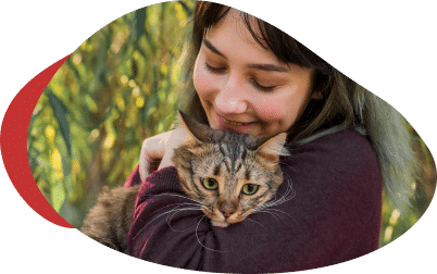 Cat Boarding Pawland