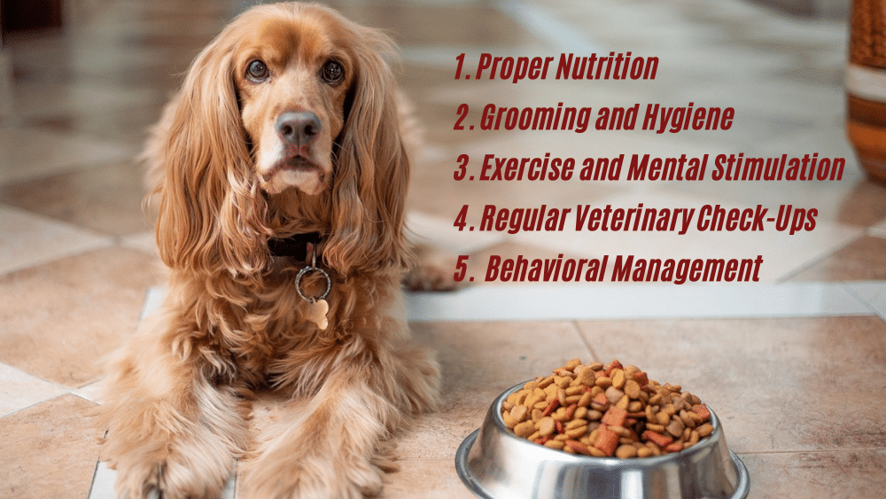 Managing Routine pets during ramadan