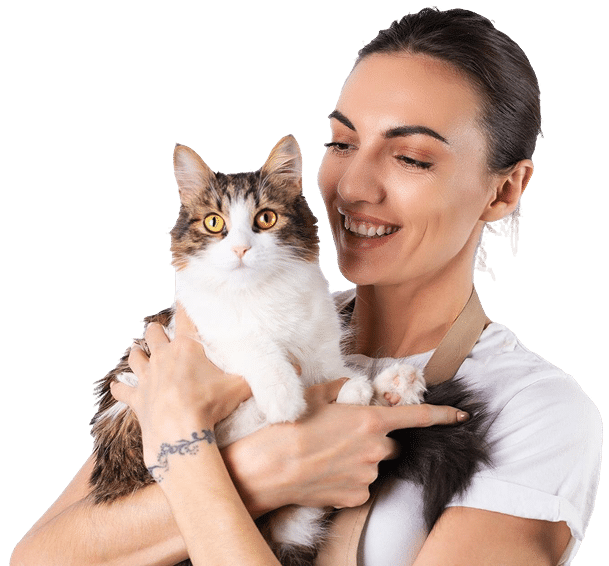 Cat sitter with a cat in a cat boarding sitting session