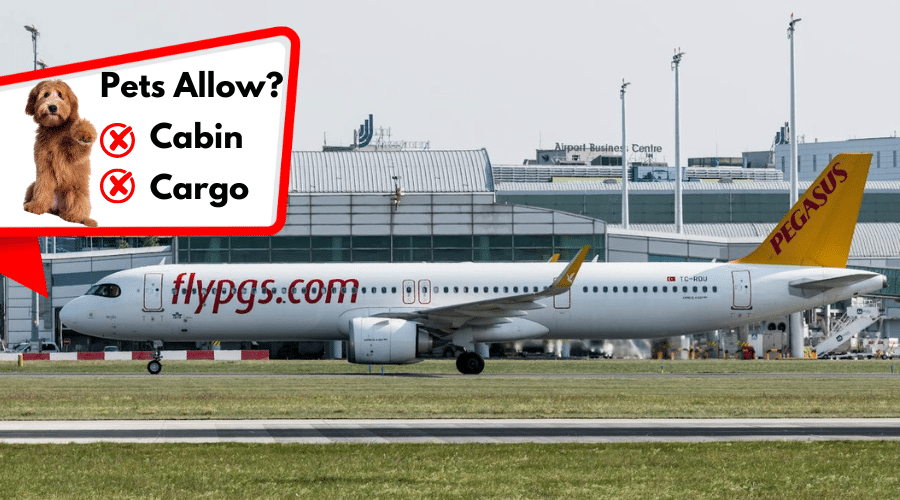 Pegasus Airlines (Turkey)