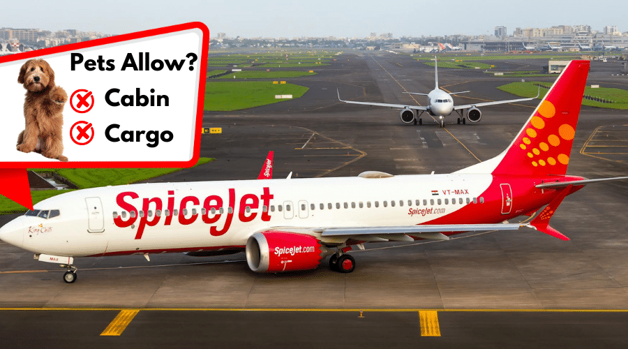 SpiceJet (India)