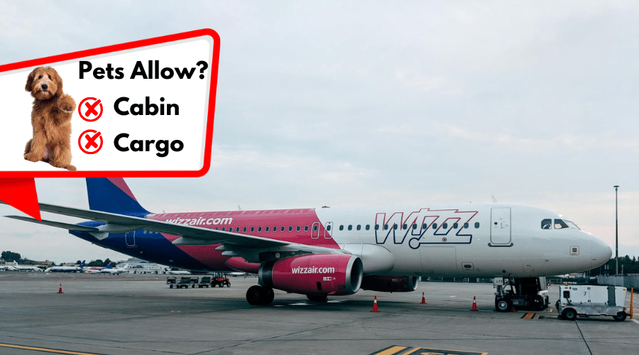  Wizz Air (Hungary)