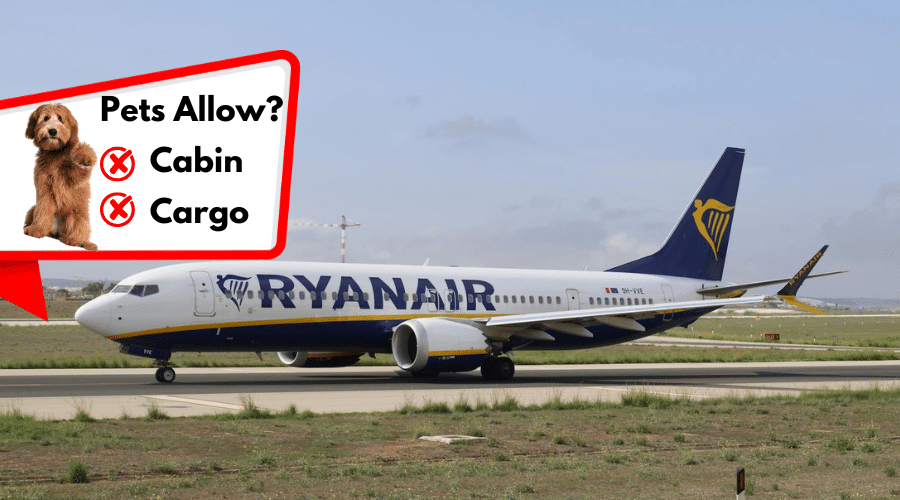 Ryanair (Ireland)